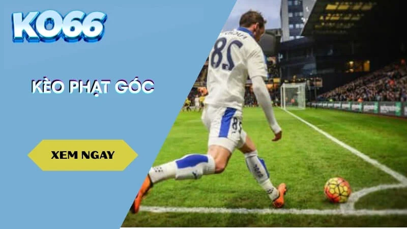 Kèo Phạt Góc Là Gì? Chiến Lược Bắt Kèo Phạt Góc Hiệu Quả
